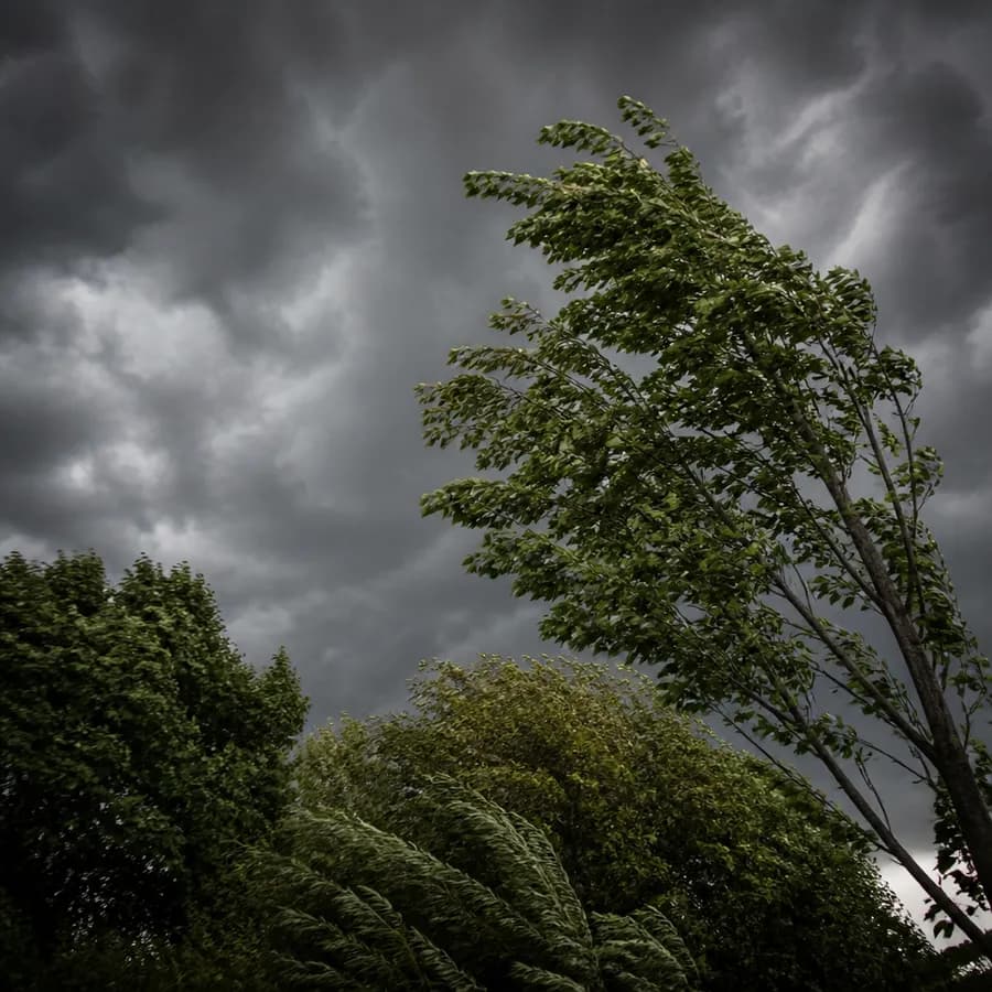 Ostrzeżenie meteorologiczne przed porywami wiatru i burzami