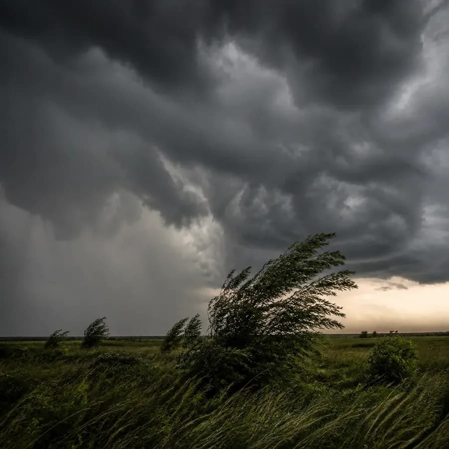 Ostrzeżenie meteorologiczne: nadchodzą burze i silny wiatr