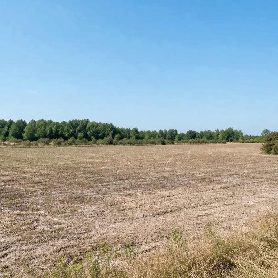 Wynik przetargu na działkę w Kuźnicy Skakawskiej